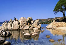 上海的艺术家们｜93岁夏阳：漂泊半生，何以定居上海